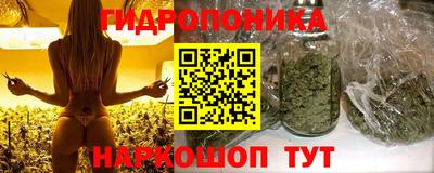 гашик Свободный