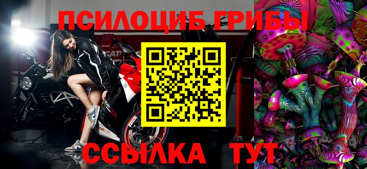 Галлюциногенные грибы прущие грибы  Галлюциногенные грибы GOLDEN TEACHER  Подольск  где найти наркотики  Вход с VPN 
